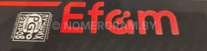 Фото FG111