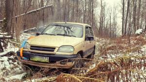 Фото 7711