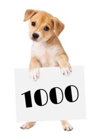 Фото 10000