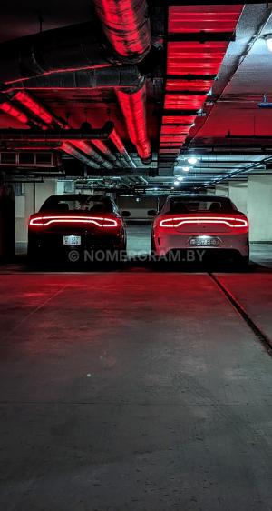 Фото 087177WD