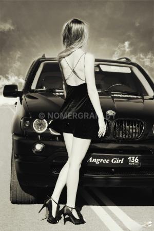 Автомобиль с номером GТ166F3, Гомельская обл.