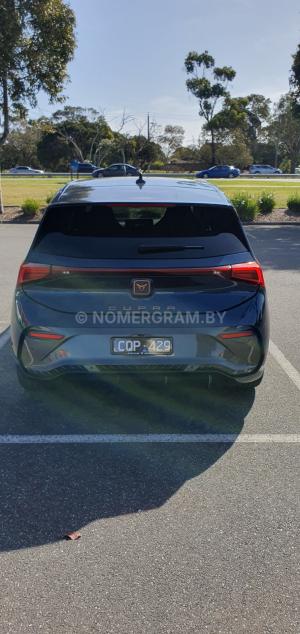 Фото 3470