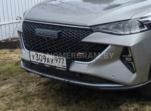 Фото SJJJJ1