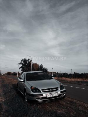 Фото _8