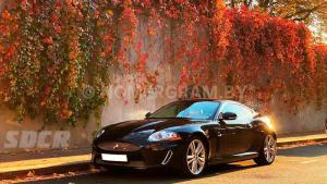 Фото _339