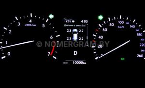 Фото 10000
