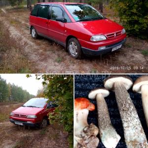 Автомобиль с номером 67905Р1, Брестская обл.