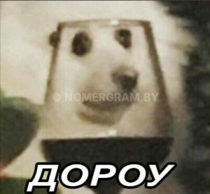 Автомобиль с номером DОРОY, МО / Погранвойска