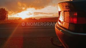 Фото 3111