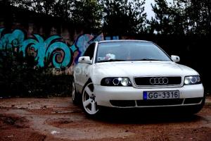 Фото GG3316