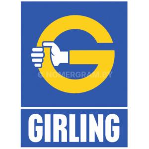 Автомобиль с номером GІRLІNG, МО / Погранвойска