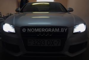 Фото 3293