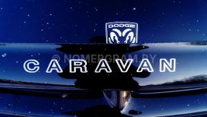 Фото _977