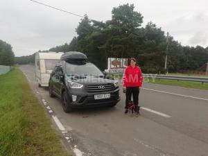 Автомобиль с номером 9991ЕІ6, Могилевская обл.