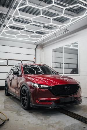 Фото L19