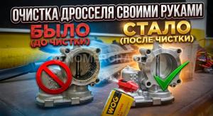 Автомобиль с номером S0Е66, Могилевская обл.