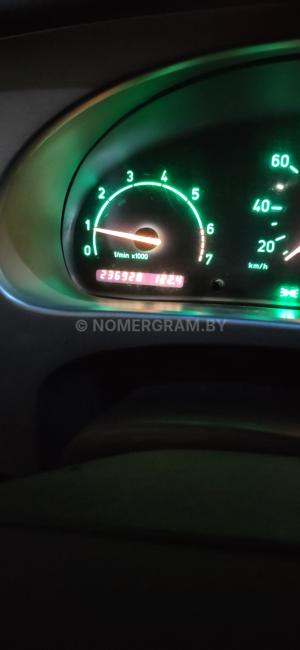 Фото 10000