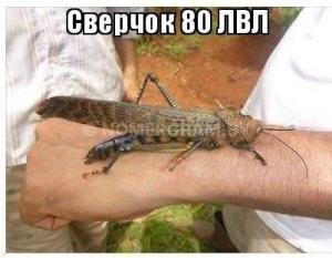 Автомобиль с номером 85040К, МО / Погранвойска