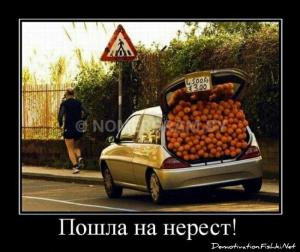 Автомобиль с номером L500К30, МО / Погранвойска