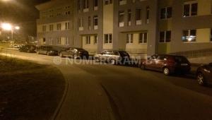 Фото _18
