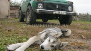 Автомобиль с номером 99010, МО / Погранвойска