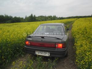 Автомобиль с номером 9750ЕР2, Витебская обл.