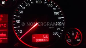 Фото 30000
