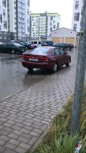Автомобиль с номером F7D151, Брестская обл.