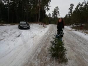 Автомобиль с номером GА3212, Витебская обл.