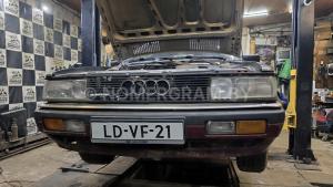Фото LDVF21