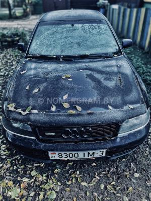 Фото 8300