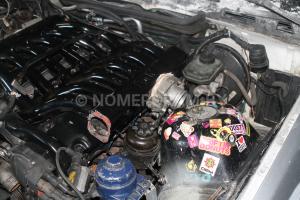 Фото D36UUN