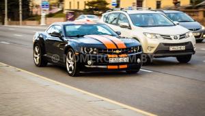 Фото _071_5