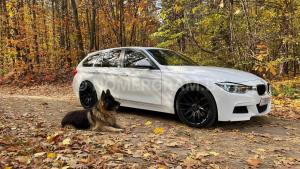 Автомобиль с номером 76801К7, г. Минск
