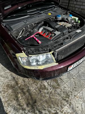 Фото 3100