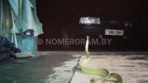 Автомобиль с номером 9861ЕМ2, Витебская обл.
