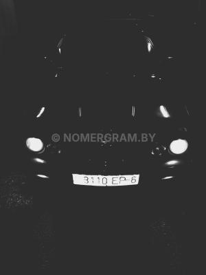 Фото 311