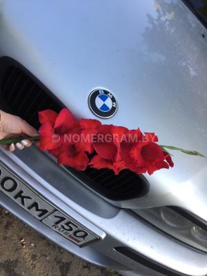 Автомобиль с номером DКС2334, Гродненская обл.