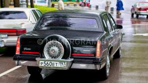 Фото _9