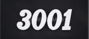 Фото 3001